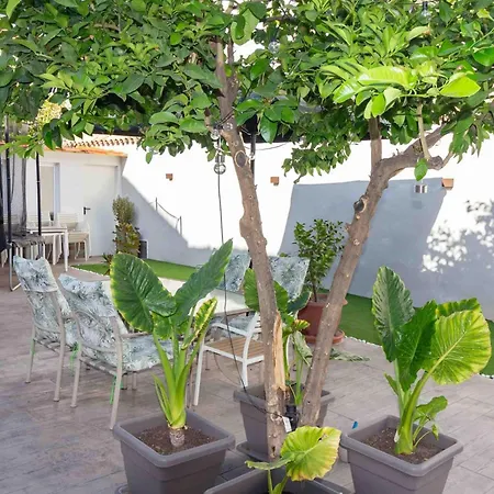 Casita Del Arbol Holiday home Atarfe